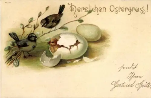 Litho Glückwunsch Ostern, Ostereier, Vögel, Küken, Weidenkätzchen