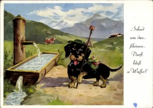 Ak Schwarzer Hund mit roter Mütze und Rucksack, Brunnen, Wasserquelle