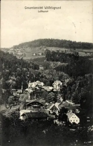 Ak Międzygórze Wölfelsgrund Schlesien, Gesamtansicht  Luftkurort, ländliche Landschaft