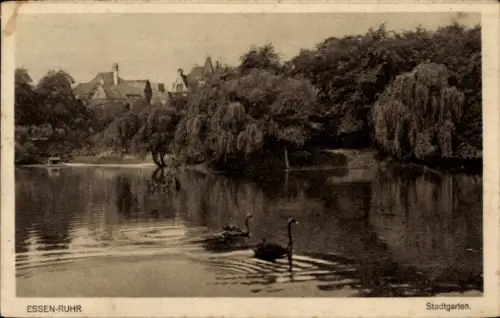 Ak Essen im Ruhrgebiet, Stadtgarten