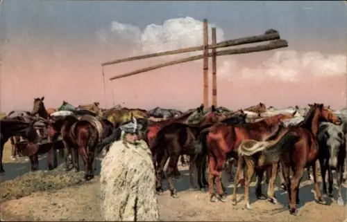 Ak Ungarn, Leben auf der Haide Hortobagy, Pferde beim Doppelbrunnen