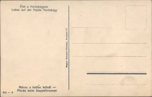 Ak Ungarn, Leben auf der Haide Hortobagy, Pferde beim Doppelbrunnen