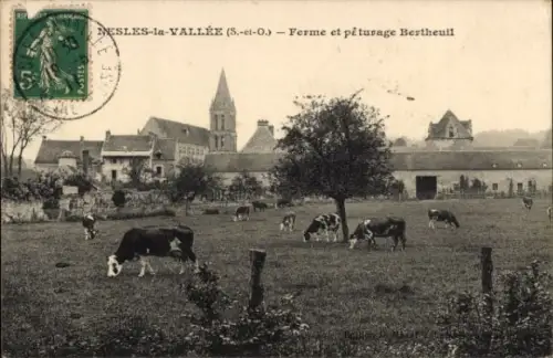 Ak Nesles la Vallée Val-d'Oise, Ferme et peturage Bertheuil, Kühe