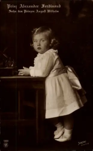 Ak Prinz Alexander Ferdinand von Preußen, Sohn von August Wilhelm, Spielzeugmühle, NPG 5000
