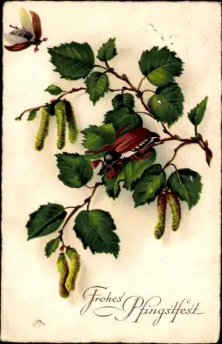 Ak Frohe Pfingsten, Maikäfer auf einem Birkenzweig