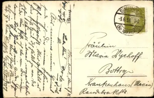 Ak Frohe Pfingsten, Maikäfer auf einem Birkenzweig