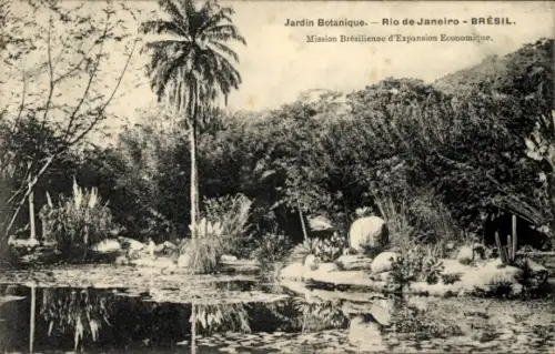 Ak Rio de Janeiro Brasilien, Botanischer Garten, Pflanzen, Wasserfläche, Brasilien, Mission Brasi