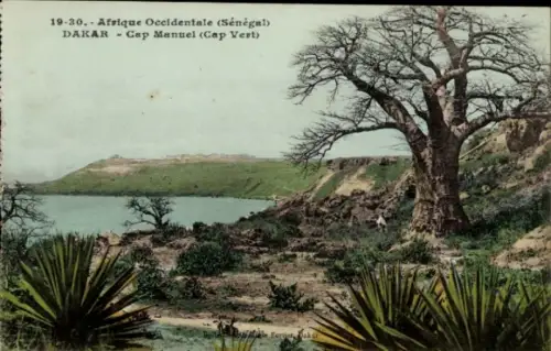 Ak Dakar Senegal, Landschaft mit Wasser, Felsen, Pflanzen, Senegal,  Cap Manuel