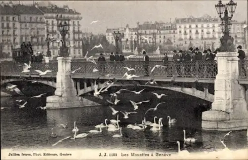 Ak Genf Stadt Schweiz, Pont du Mont-Blanc, Schwäne, Möwen