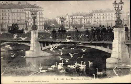 Ak Genf Stadt Schweiz, Pont du Mont-Blanc, Schwäne, Möwen