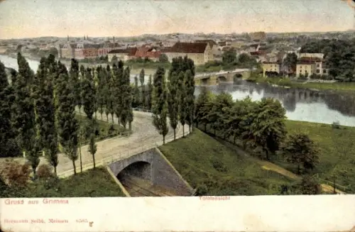 Ak Grimma in Sachsen, Gruss aus  Totalansicht, Flusslandschaft, Bäume, Gebäude