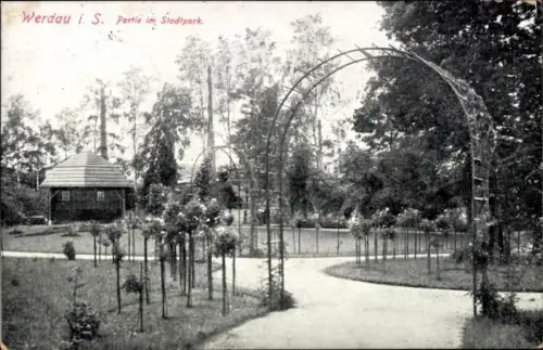 Ak Werdau in Sachsen, Werdau i. S., Stadtpark, Bäume, Weg, Rosenbögen