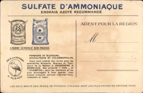 Ak Ammoniumsulfat, Reklame, Kuh, Katze, Champion Futter