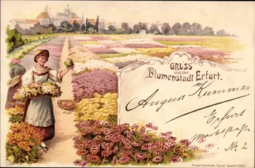 Litho Erfurt in Thüringen, Blumenfelder