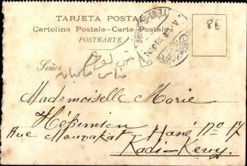 Ak Elegant gekleideter Frosch mit Zigarre, Handschuhe, Zylinder