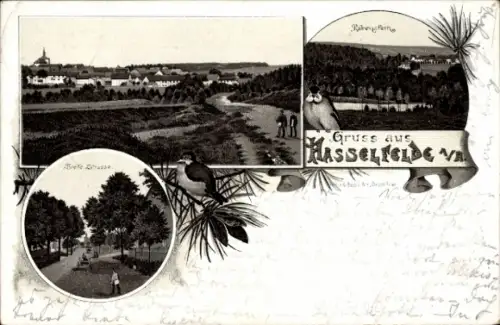Vorläufer Litho Hasselfelde Oberharz am Brocken, Rabenstein, Panorama, 1893