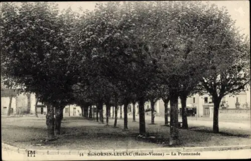 Ak St. Sornin Leulac Haute Vienne, La Promenade, Straßenpartie