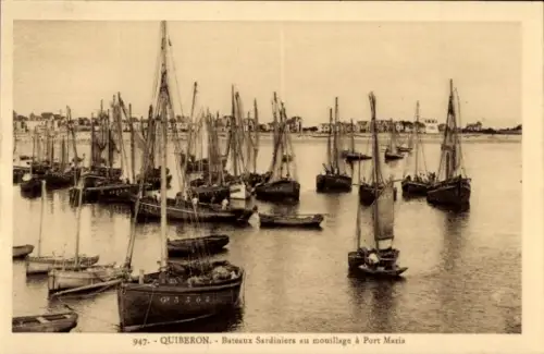CPA Quiberon Morbihan, Bateaux Sardiniers au mouillage a Port Maria