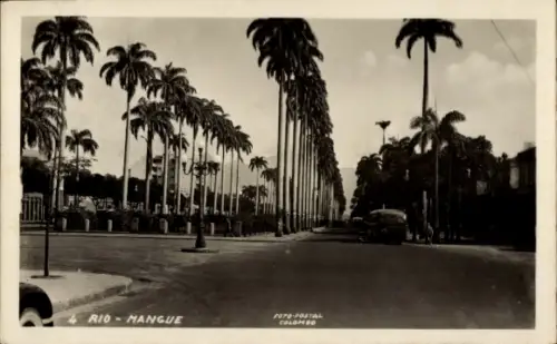 Ak Rio de Janeiro Brasilien, Palmenallee, Straße, Autos, Brasilien