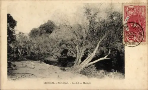 Ak Sénégal et Soudan, Bord d'un Marigot