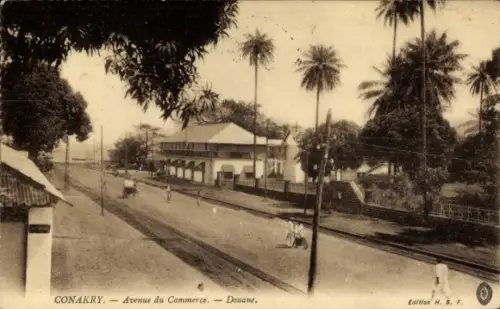 Ak Conakry Guinea, Avenue du Commerce, Douane,  Palmen, Straßenansicht