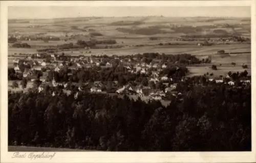 Ak Opolno Zdrój Bad Oppelsdorf Bogatynia Reichenau Schlesien, Gesamtansicht
