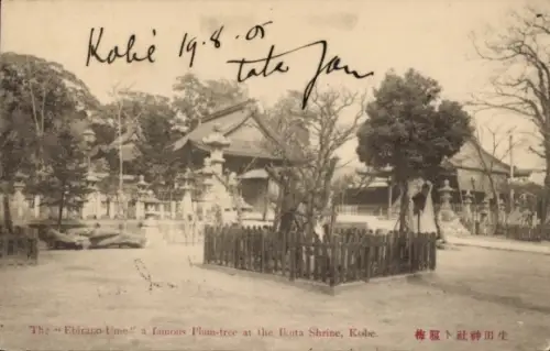 Ak Kobe Honshu Hyogo Japan, Ebirano-Ume, Ikuta Shrine