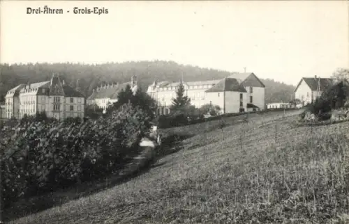 Ak Trois Épis Drei Ähren Elsass Haut Rhin, Teilansicht