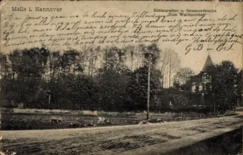 Ak Melle in Niedersachsen, Restauration und Sommerfrische Zum Waldmeister