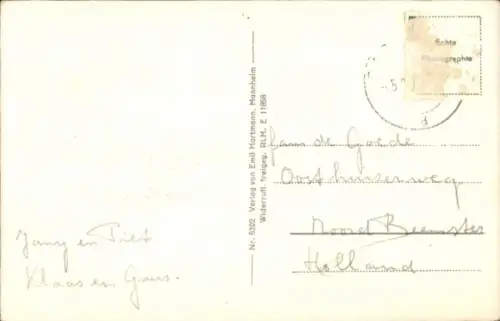 Ak Assmannshausen Rüdesheim am Rhein, Panorama