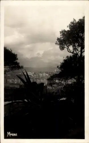 Ak Marseille Bouches du Rhône, Schwarz-Weiß-Bild von  Stadtansicht, Pflanzen im Vordergrund