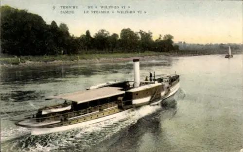 CPA Tamise Temse Temsche Flandre orientale, Dampfer Wilford VI