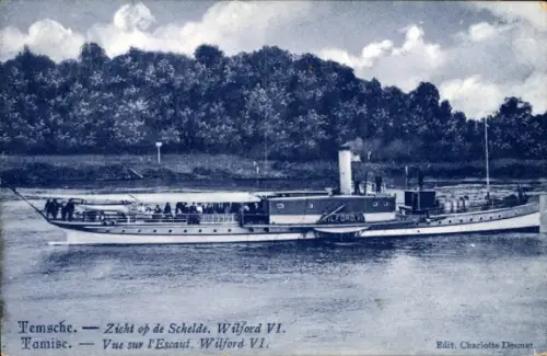 CPA Tamise Temse Temsche Flandre orientale, Vue sur l'Escaut, Wilford VI
