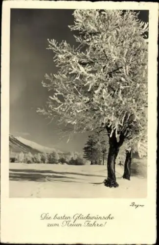 10 alte Ak Neujahrsgruß, diverse Ansichten