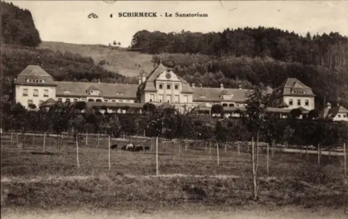Ak Schirmeck Elsass Bas Rhin, Sanatorium, Landschaft, Bäume, Wiese, Tiere