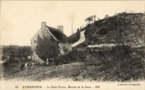 Ak Avranches Manche, Haus, Kühe, Weg, Hügel, Schwarz-Weiß-Foto