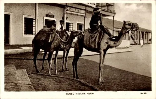 Ak Aden Jemen, Kamele, Kamelreiter,  , Fotografische Aufnahme