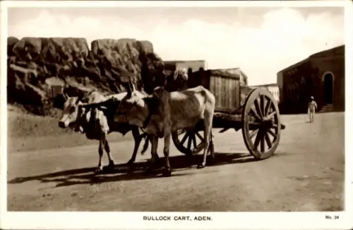 Ak Aden Jemen, Ochsenkarren, zwei Ochsen, Straße, Felsen im Hintergrund, 