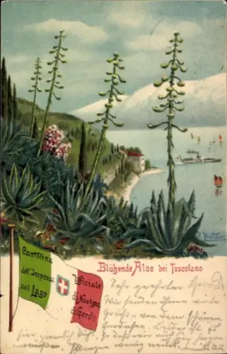 Ak Toscolano Lombardia, Blühende Aloe, Italienische Fahne