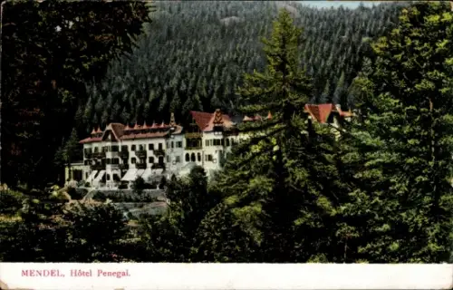 Ak Passo della Mendola Mendel Mendelpass Südtirol, Hotel Penegal