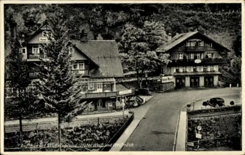 Ak Międzygórze Wölfelsgrund Schlesien, Hotel Weiß-Eck, Landschaft
