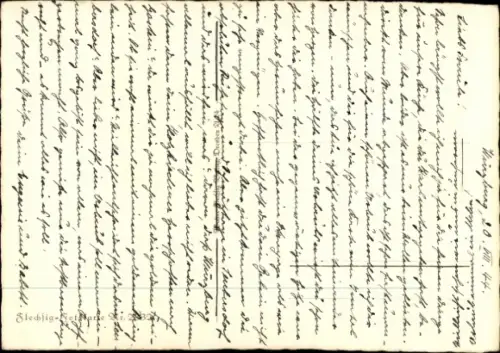 Ak Terrier, Hund, Portrait