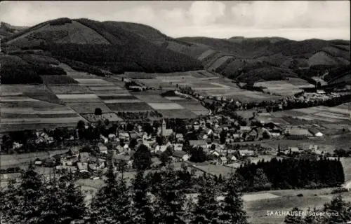 Ak Saalhausen Lennestadt im Sauerland, Landschaft mit Feldern, Wäldern, Dörfern, Bergen,  aus dem