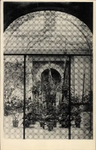 Ak Córdoba Argentinien, Patio einer privaten Residenz, Pflanzen in Töpfen, Gitterstruktur