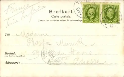 Ak Insel Styrsö Göteborg Schweden, Restaurationen  schwedische Flagge, Natur, Gebäude