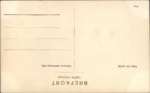 Ak Prinz Carl von Schweden, Arbeitszimmer