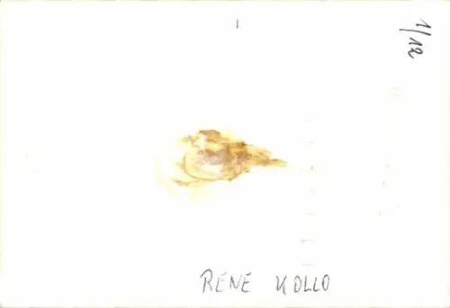 Foto Opernsänger Rene Kollo