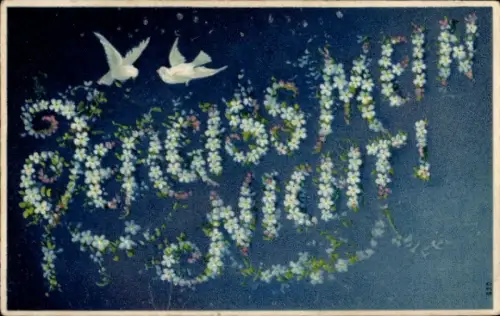 Buchstaben Ak Vergiss mein nicht, Tauben