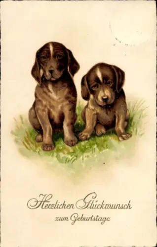 Ak Glückwunsch Geburtstag, Hunde