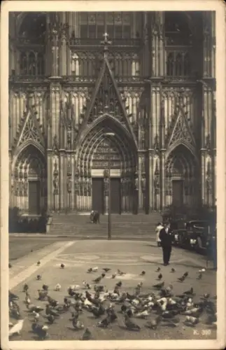 Ak Köln am Rhein, Dom, Portale, Domtauben